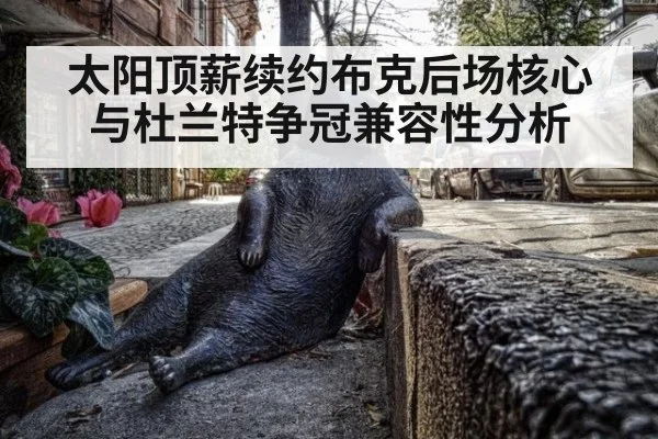 太阳顶薪续约布克后场核心与杜兰特争冠兼容性分析